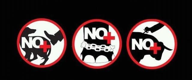 No al maltrato animal
